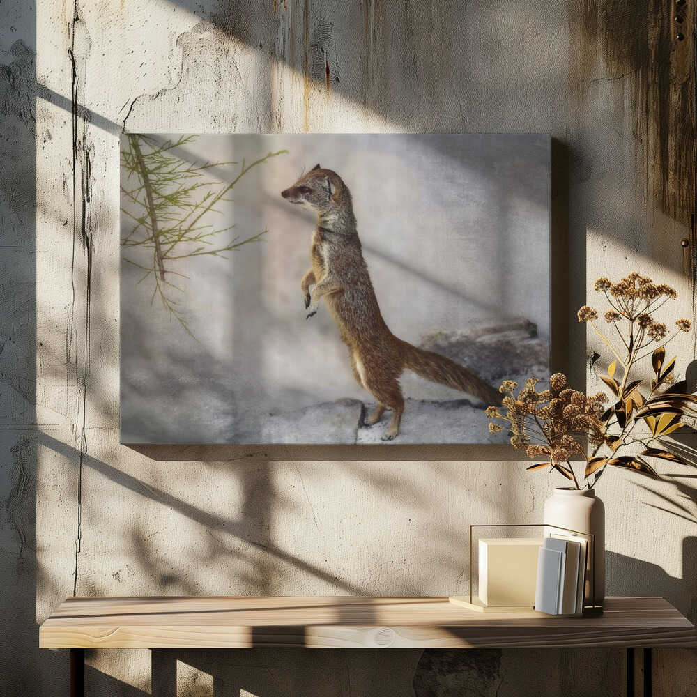 stand up, stand up ...