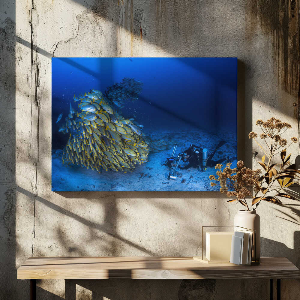 Face to face with diagonal-banded sweetlips