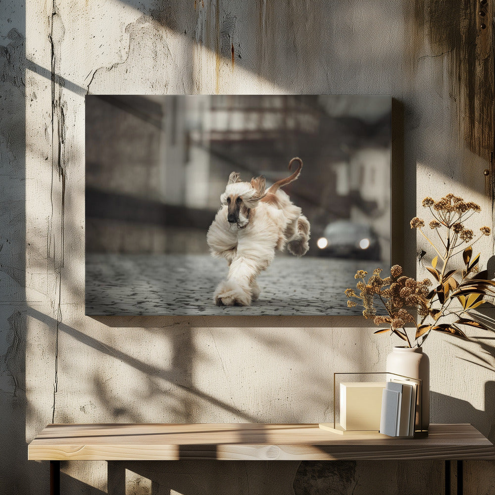 Art Prints of The Race