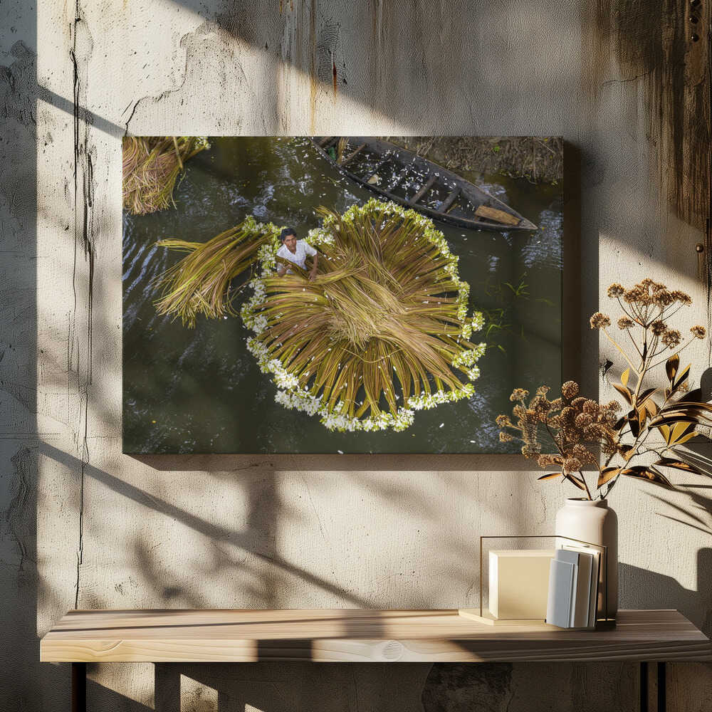 Harvesting national flower