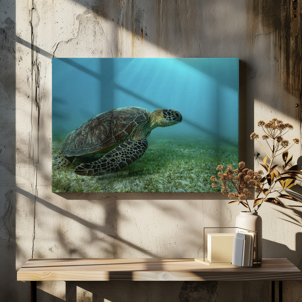 Art Prints of Into the light