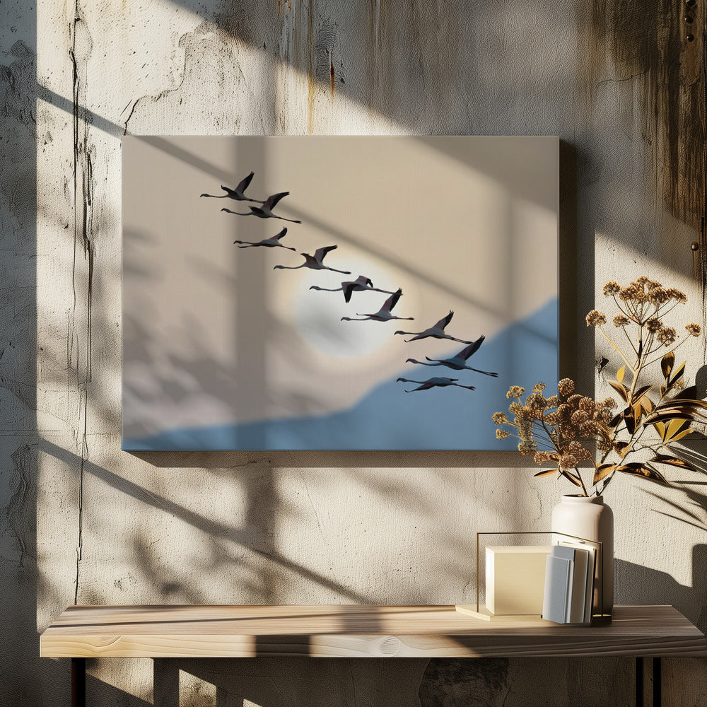 Flamingos at sunrise