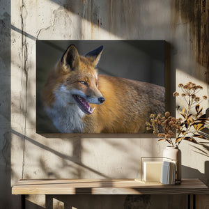 Art Prints of fox