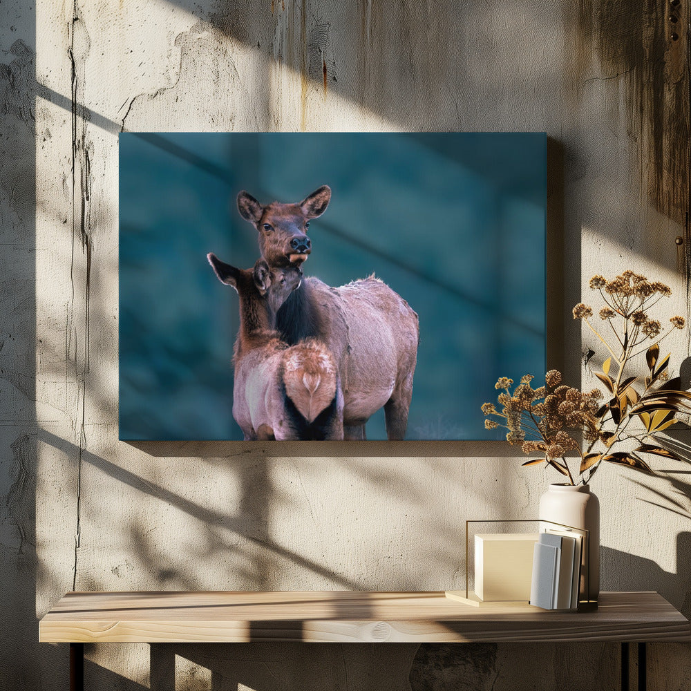 Art Prints of A Tender Moment with Mom