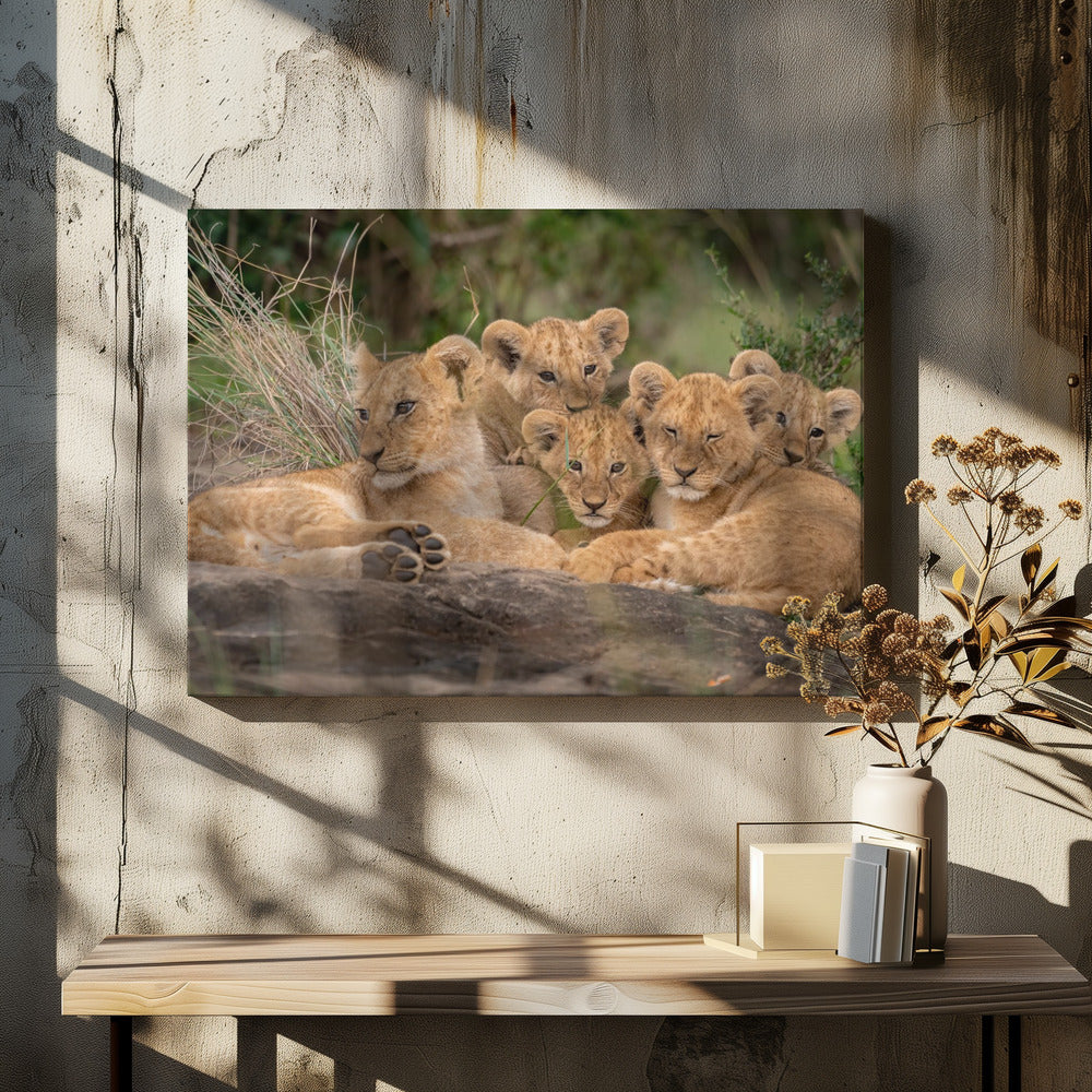 Art Prints of Cute Lion Cubs