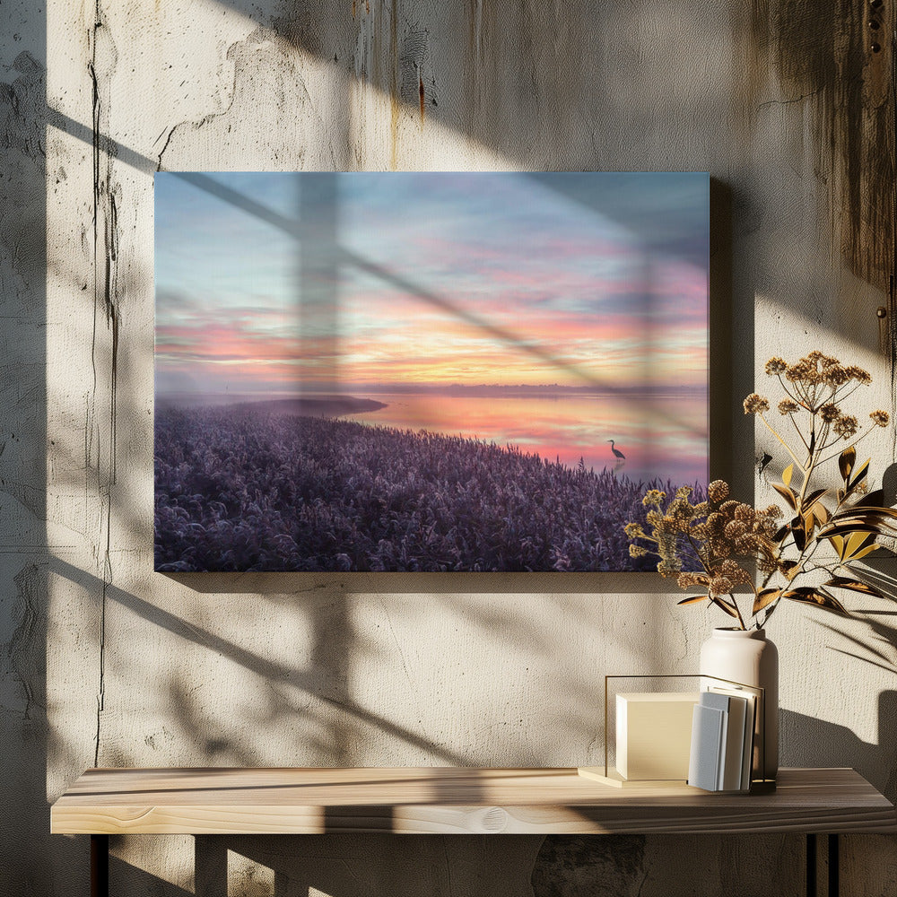 The heron's morning view.