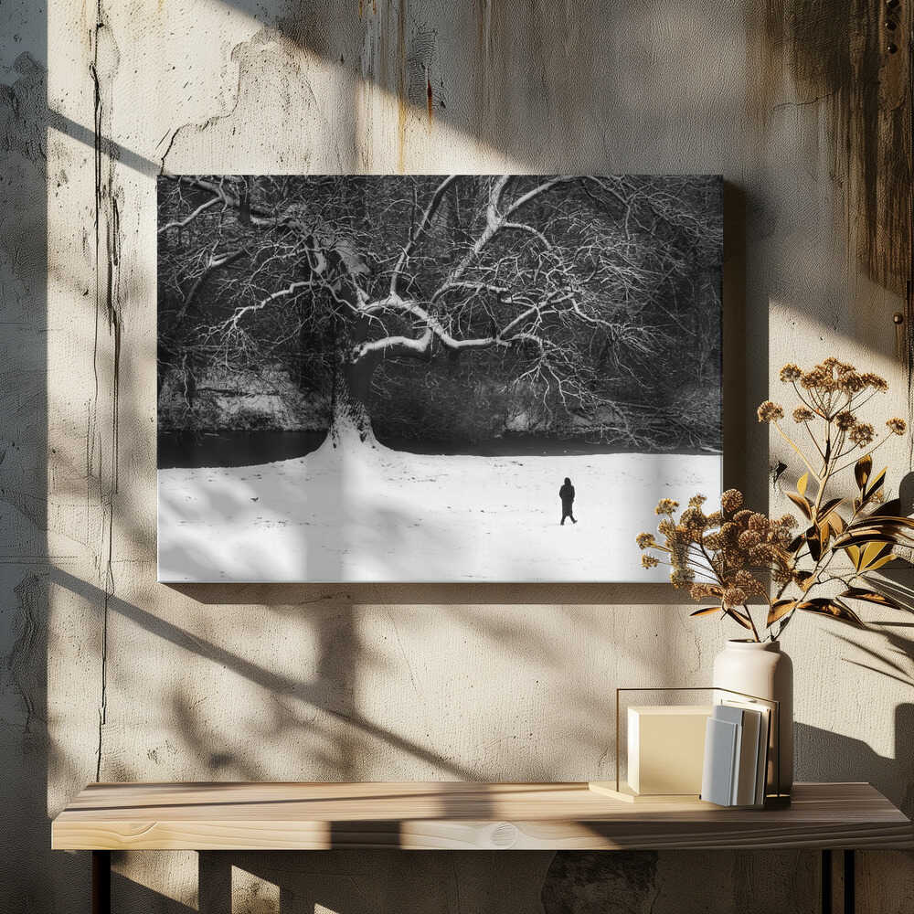 Walk in black and white.