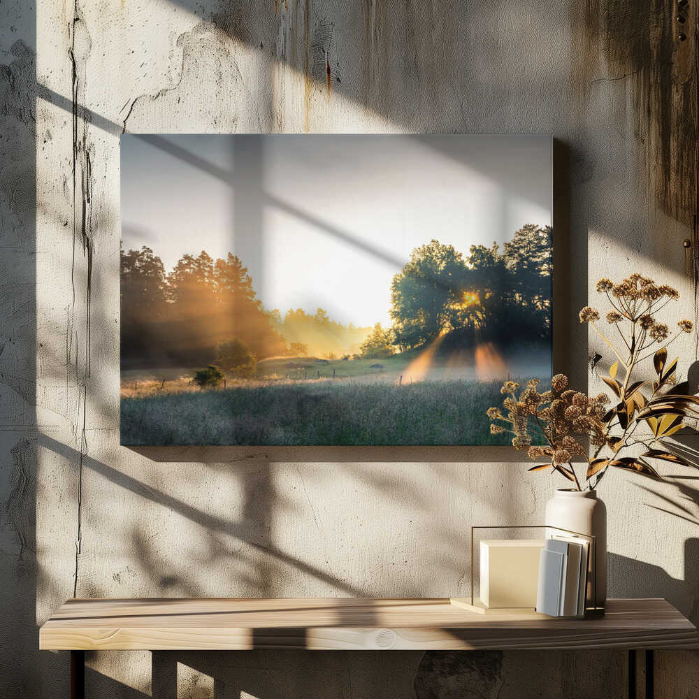 Summer field with sunrays