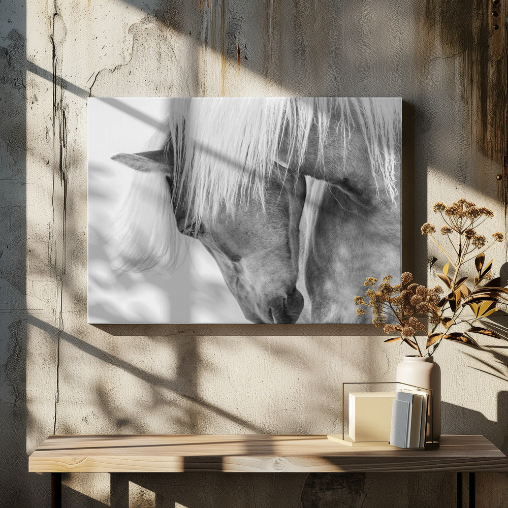 Art Prints of Halflinger Portrait
