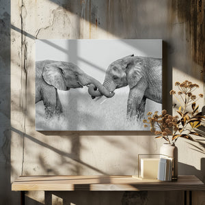Art Prints of Confrontation