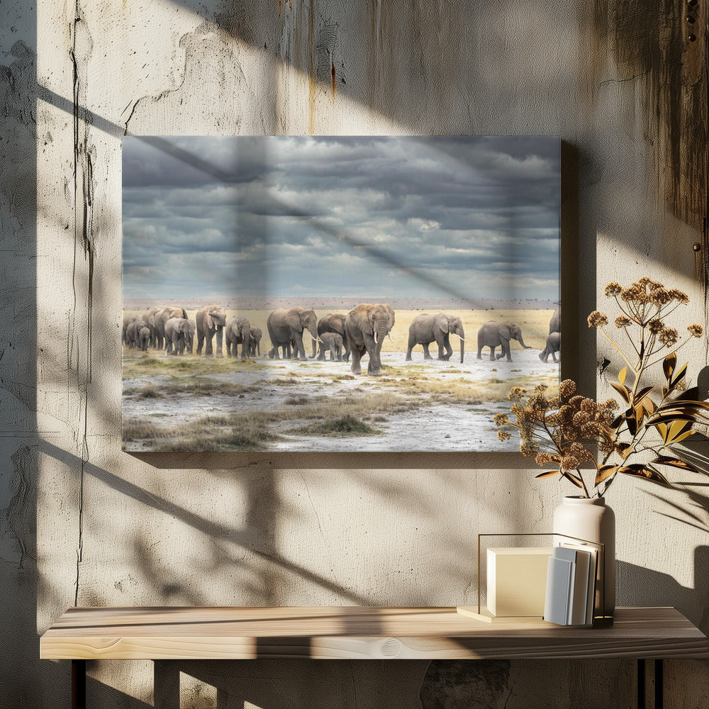 The March for Survival