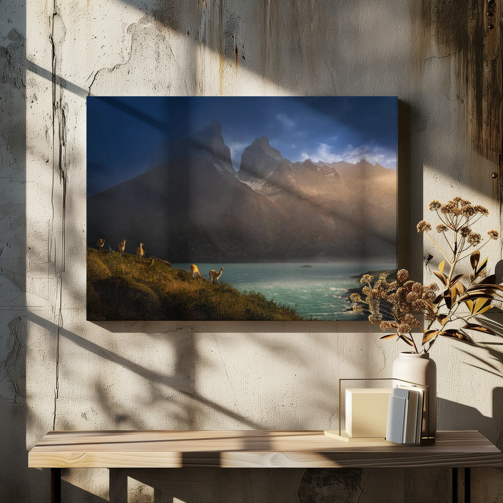 Immersing  in the golden lights