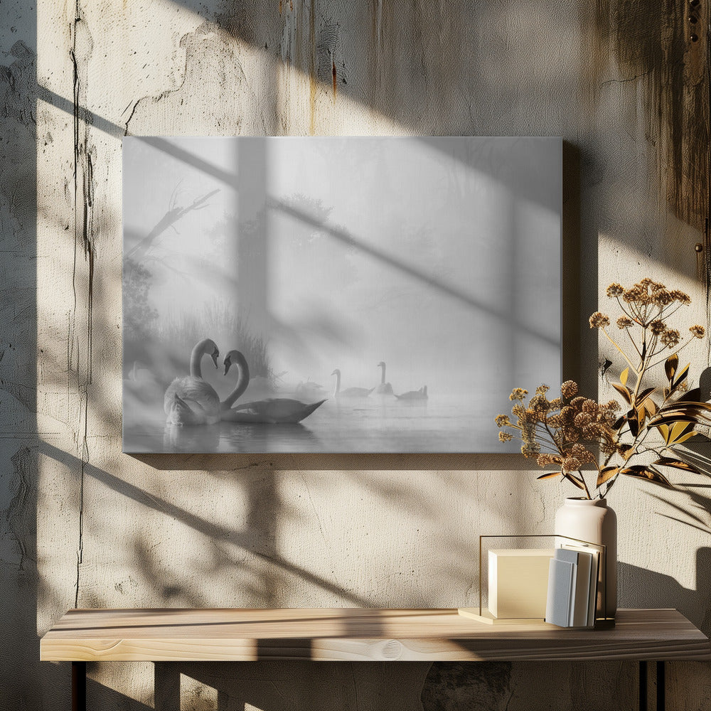 morning fog on swan lake