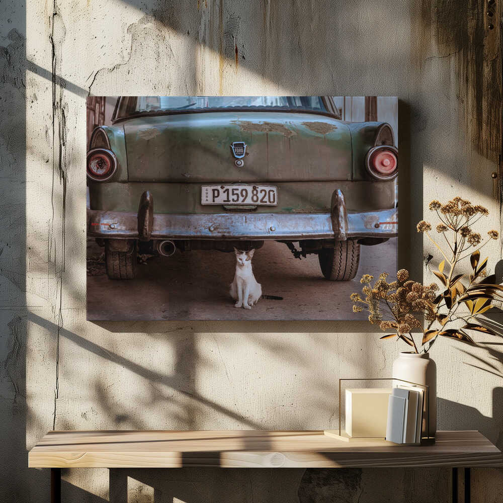 Cuban Cat with Car