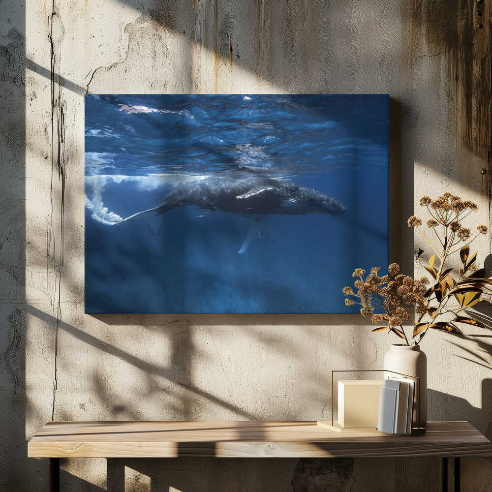 Humpback whale on the Iris bank