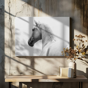 Art Prints of a short story about a shorn horse