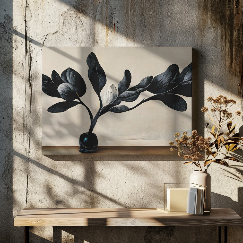 Black Magnolia