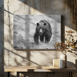 Canvas Art Print The Bear is here