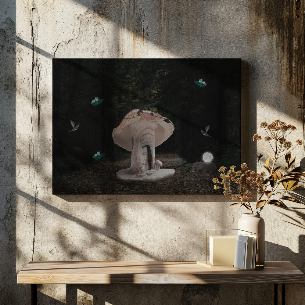 Art Prints of Mushroom