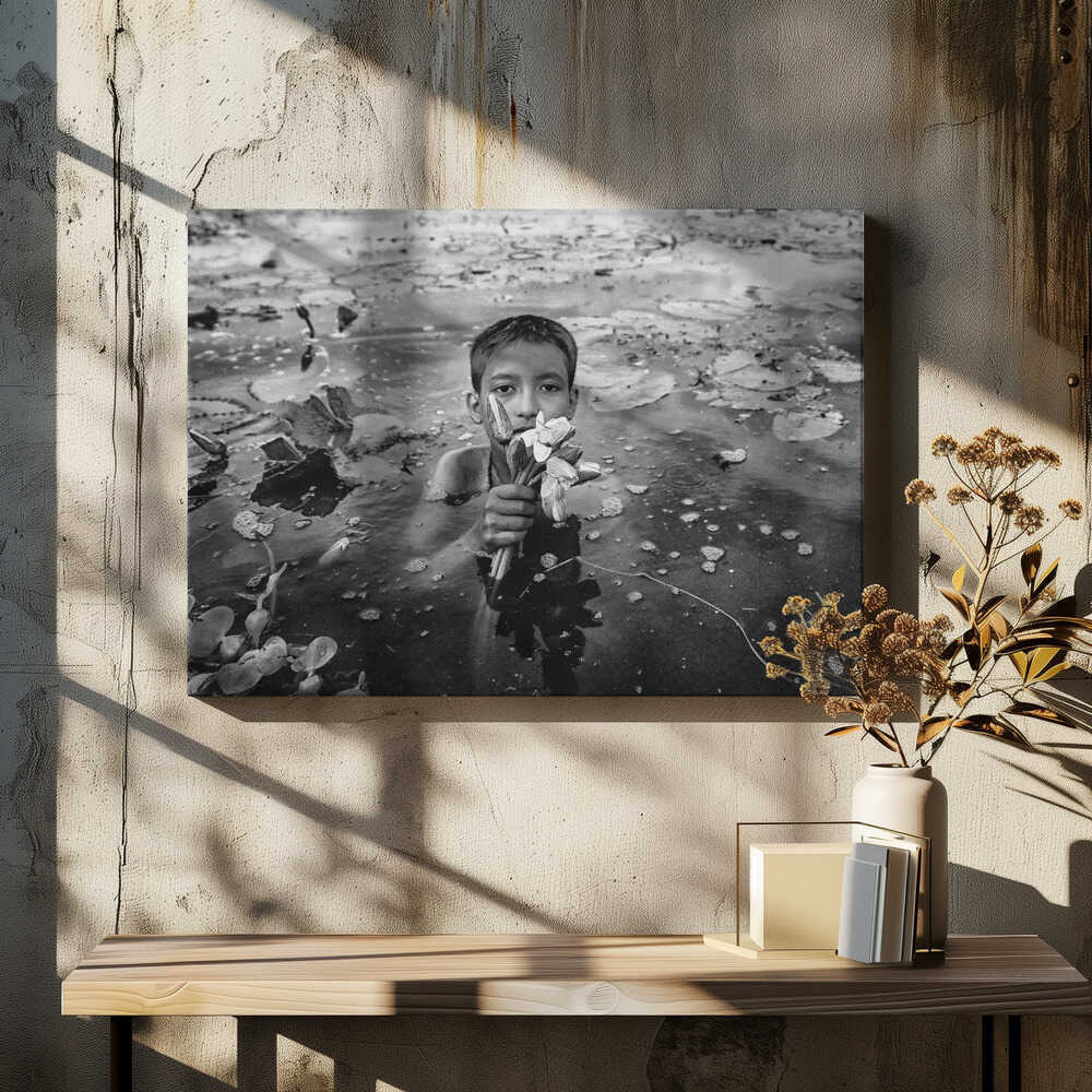 Water lily collection