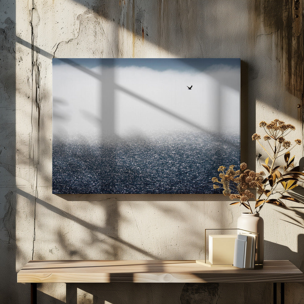 Gulls don't care for the fog