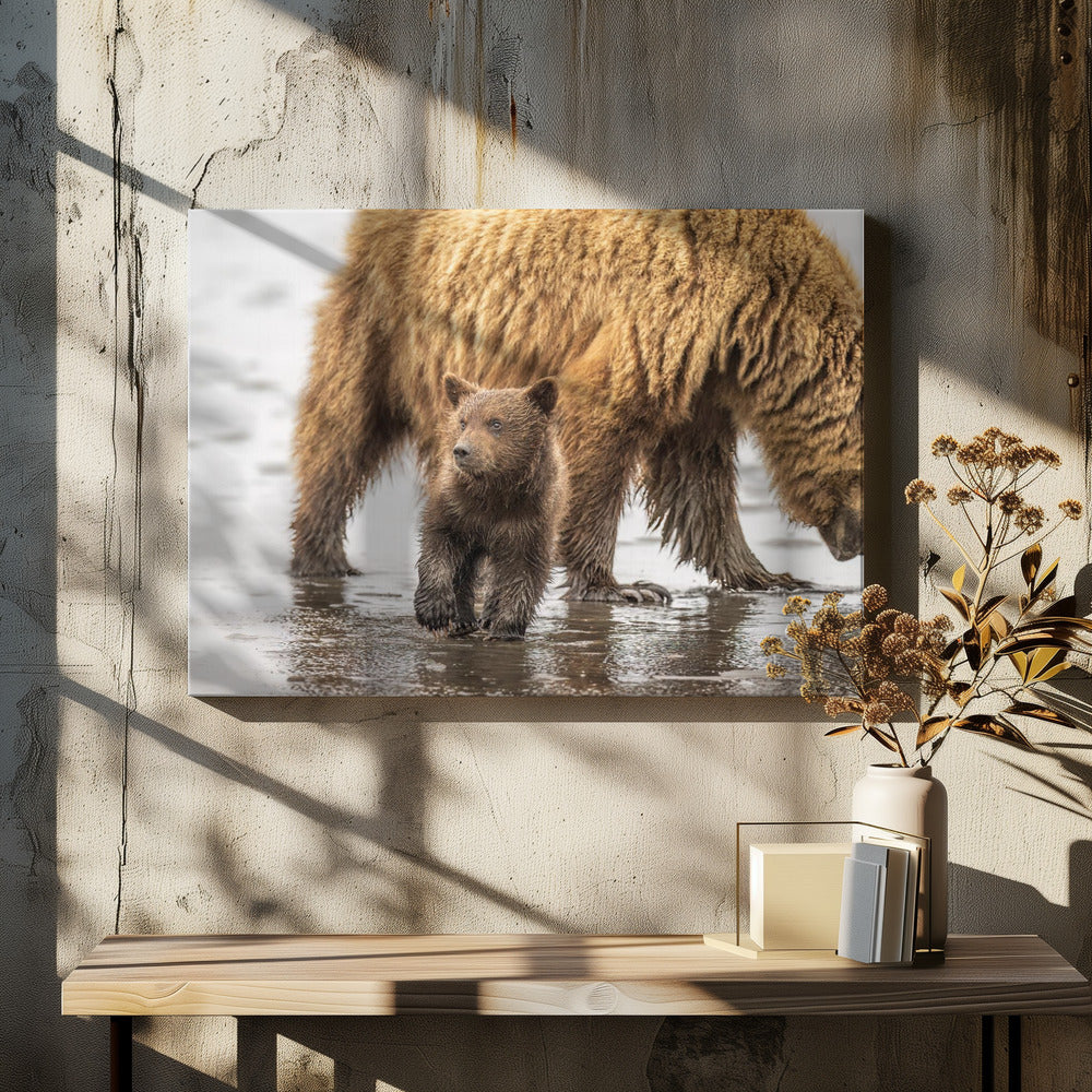 On a mission to catch my first salmon