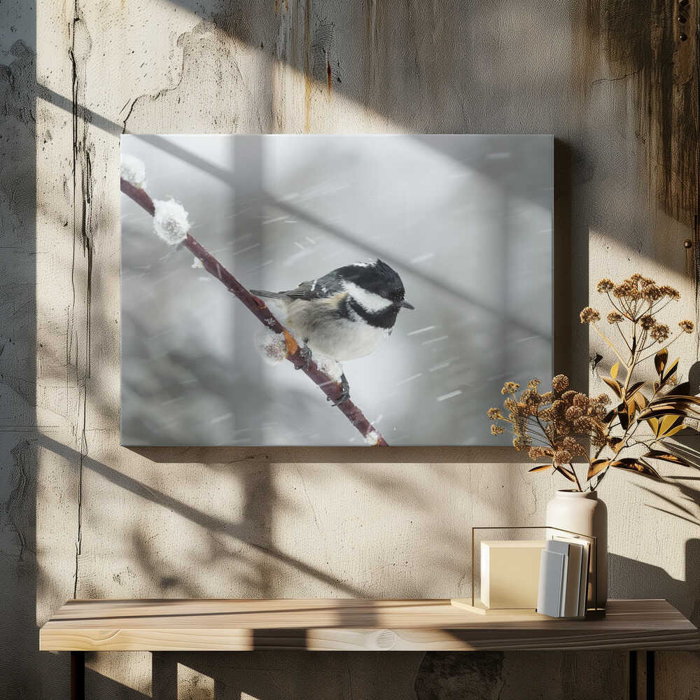 Winter and spring in one shot!