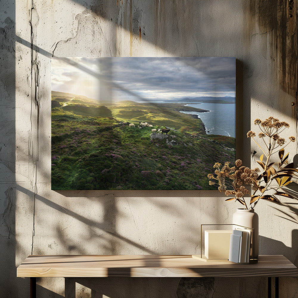 Good Morning Ireland