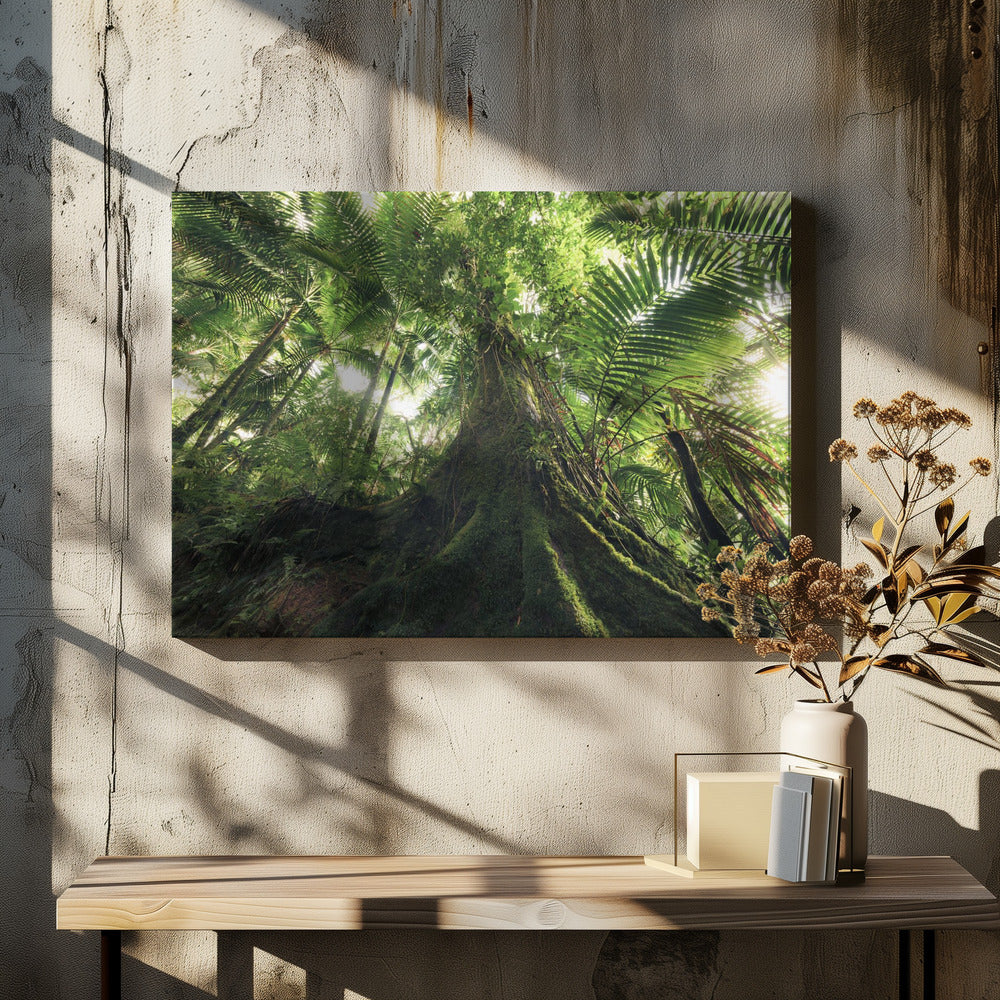 Walking in the Jungle