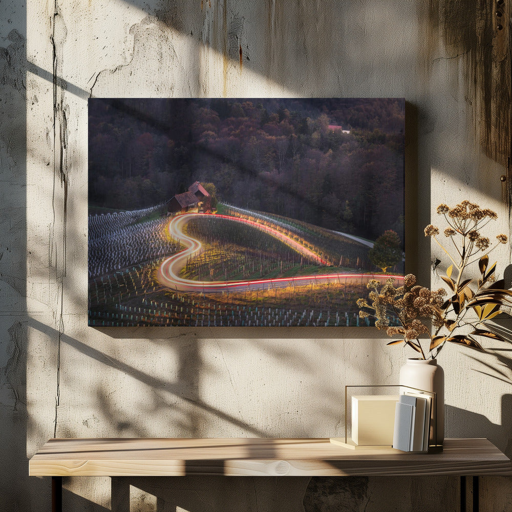 The light heart 7R46825