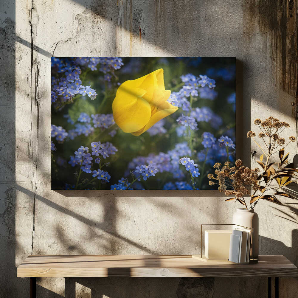 some flowers for Ukraine