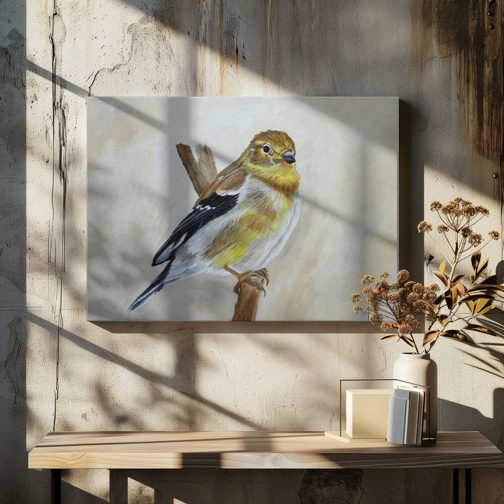 American Goldfinch Portrait