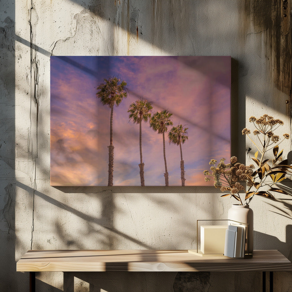 Palm trees - Idyllic sunset