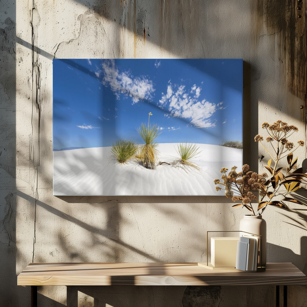 White Sands Impression