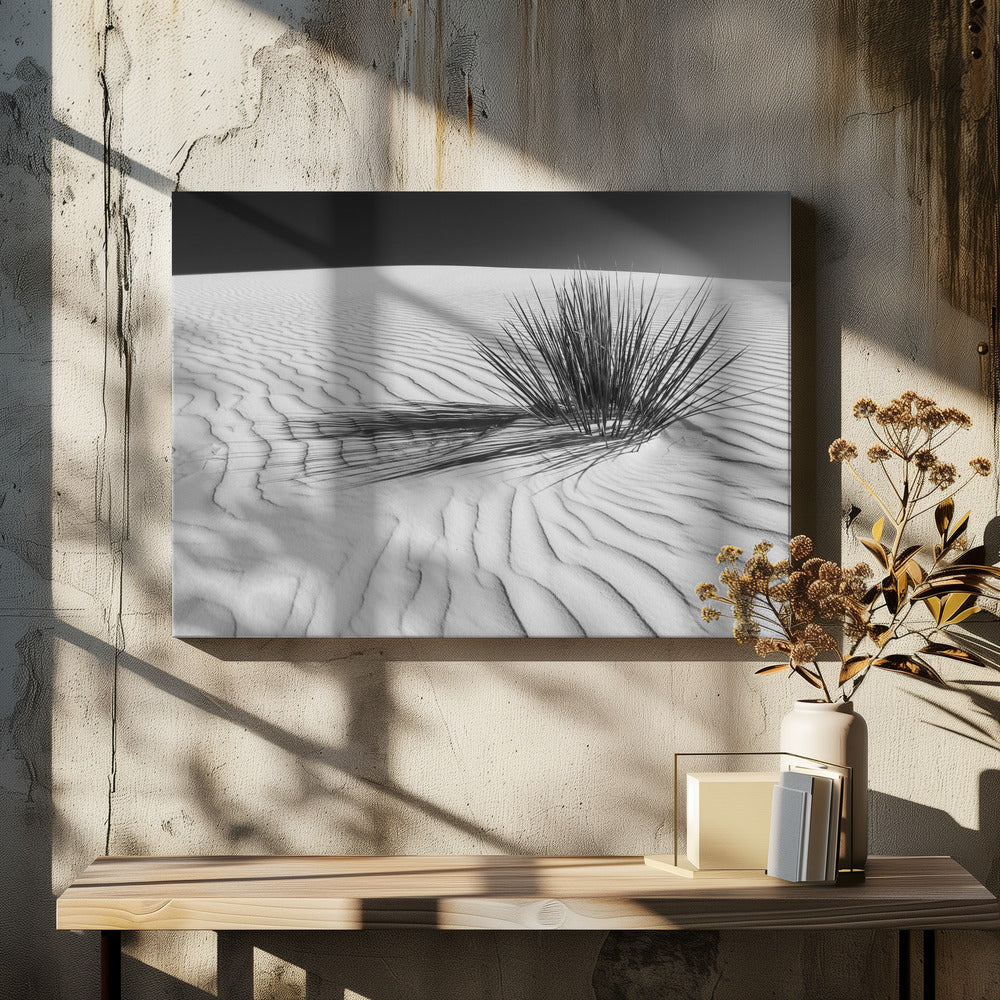 WHITE SANDS Idyllic scenery | Monochrome