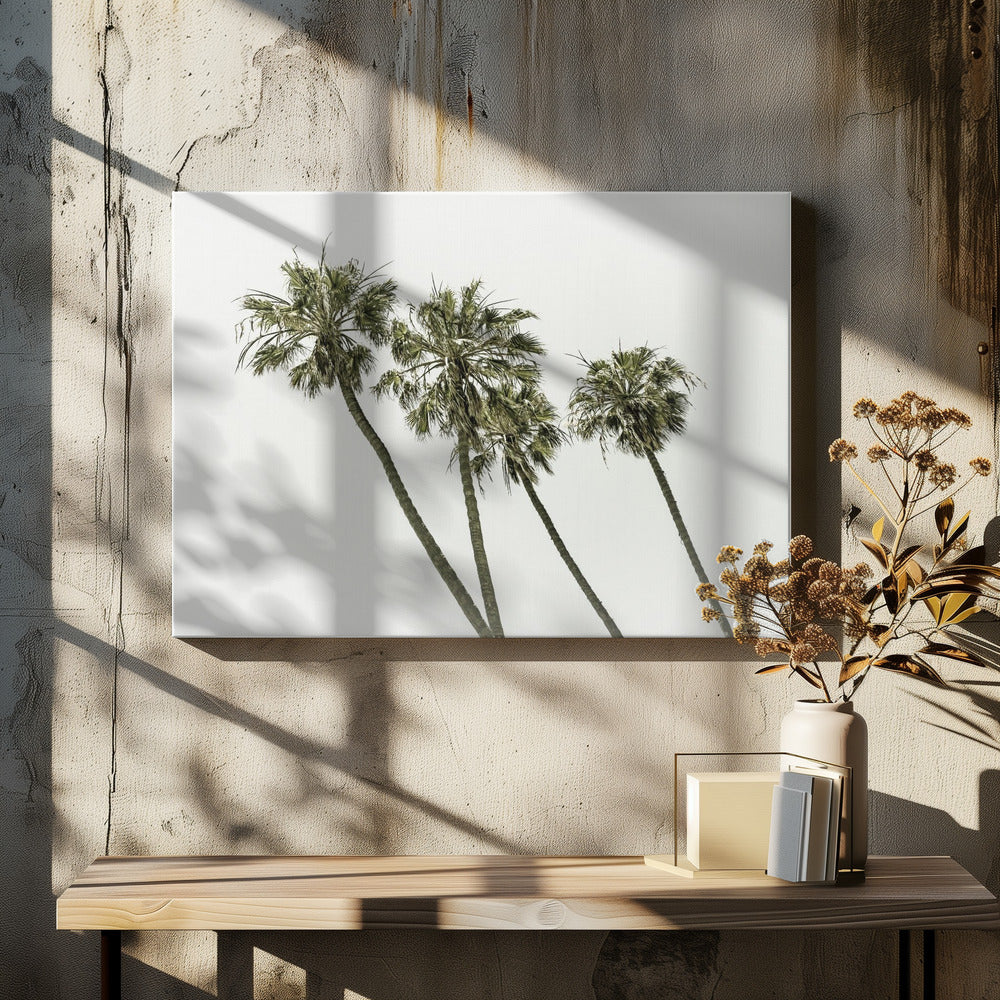 Palm trees by the sea | Vintage