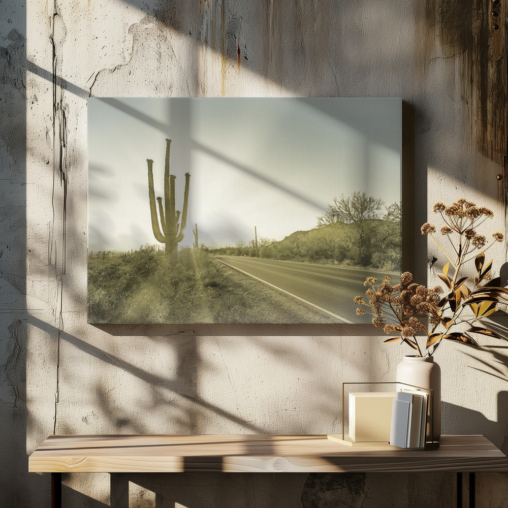 SAGUARO NATIONAL PARK Setting Sun | Vintage