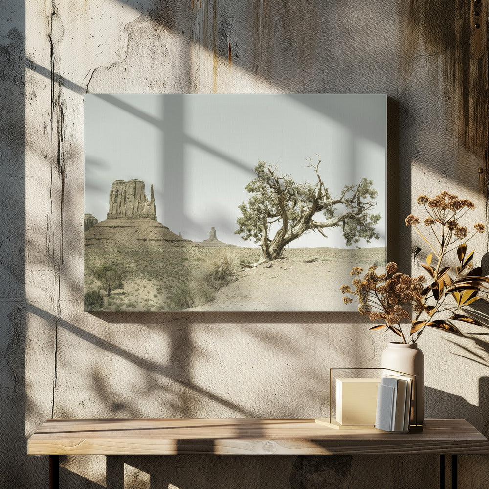 MONUMENT VALLEY Vintage West Mitten Butte and Tree
