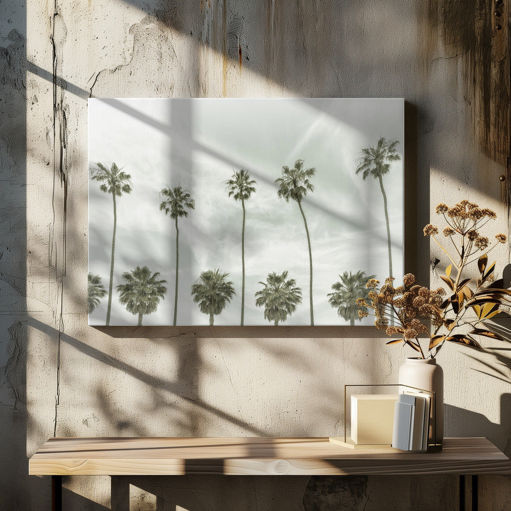 California vintage palm trees