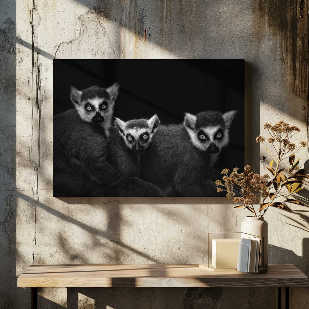 Lemur Trio