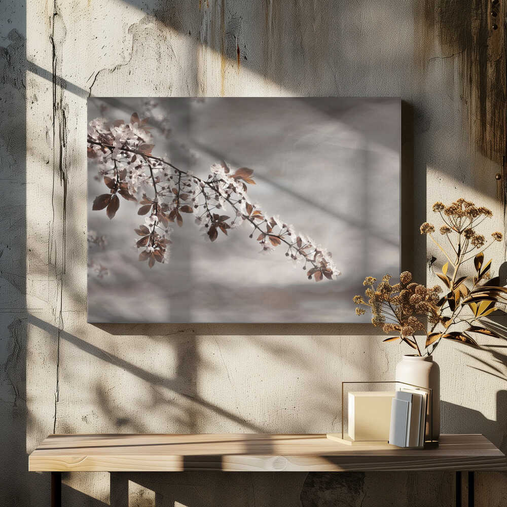 Cherry spring     ng g