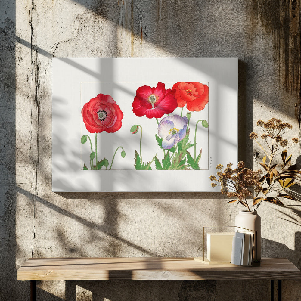 Vintage Poppy Flower
