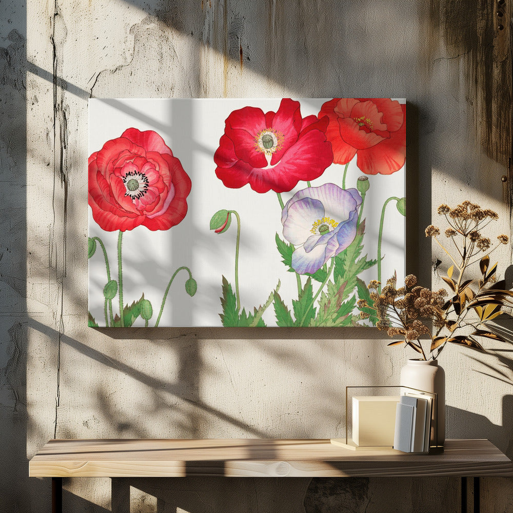 Vintage Poppy Flower No.2