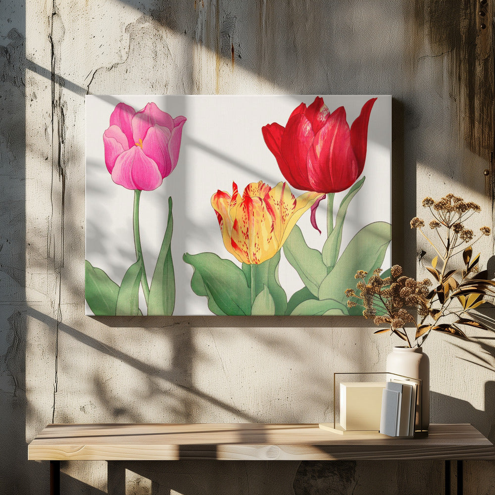 Tulips No.2