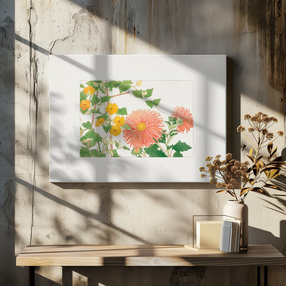 Thunbergia & Aster Flower,