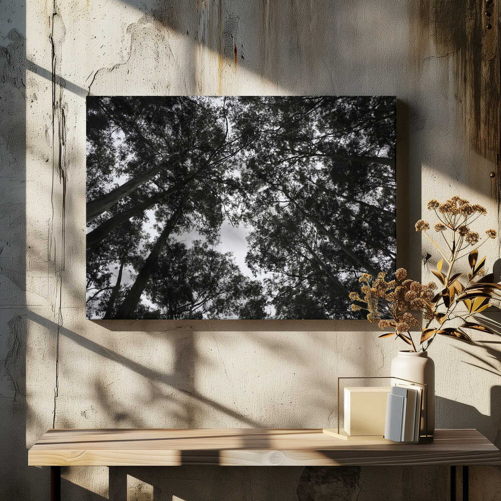 Forest Canopy Whisper