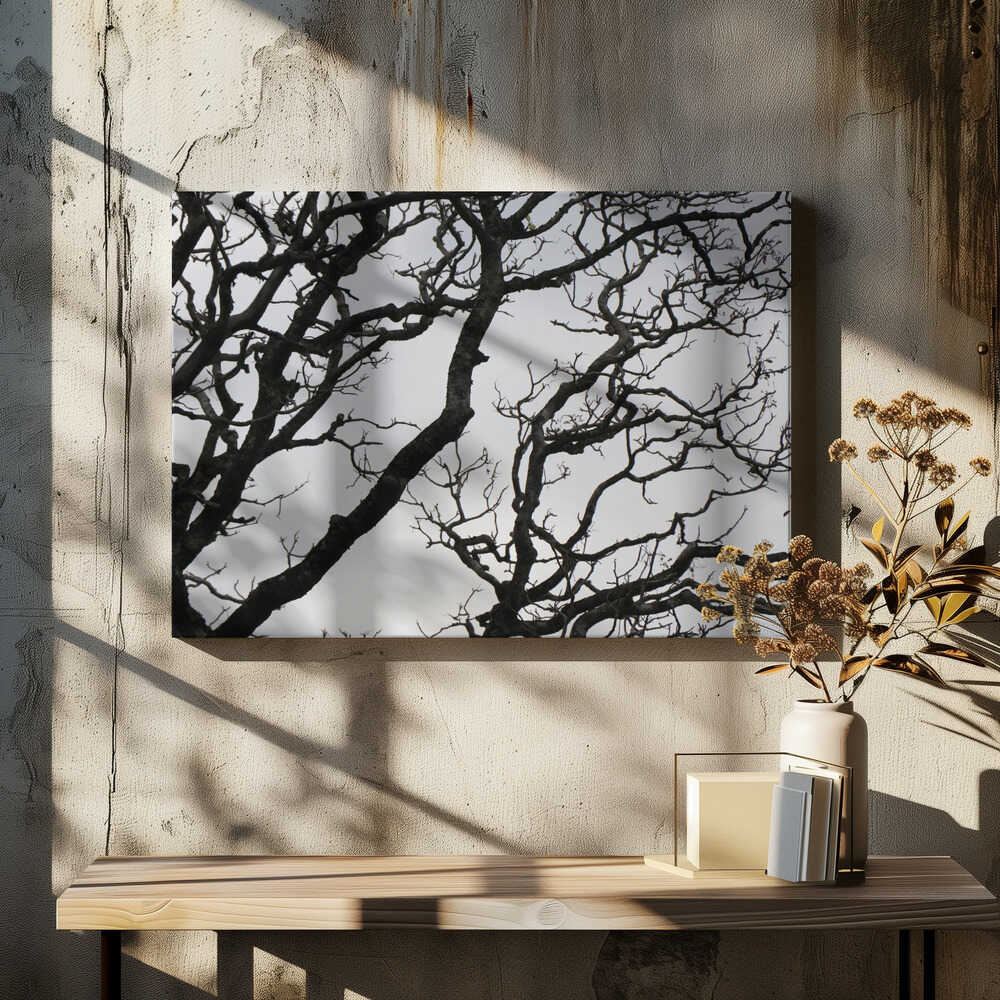 Winter's Tangled Web