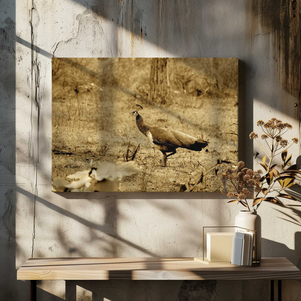 Sepia Wilderness Stroll