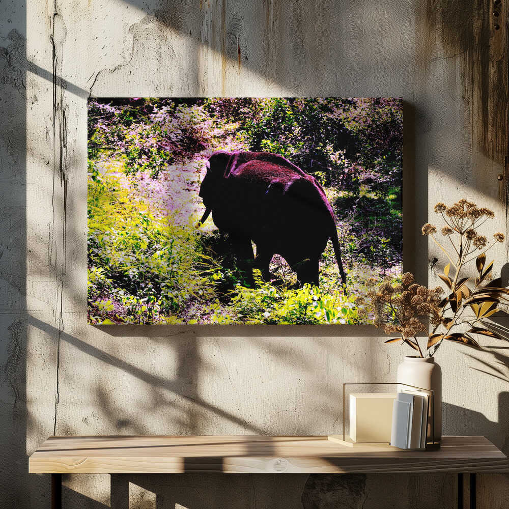 Elephant in the Wild