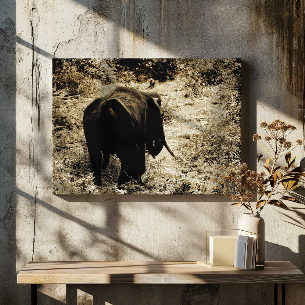 Majestic Forest Stroll